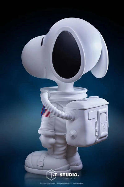 T.T Studio - NASA Snoopy