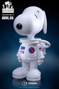 T.T Studio - NASA Snoopy