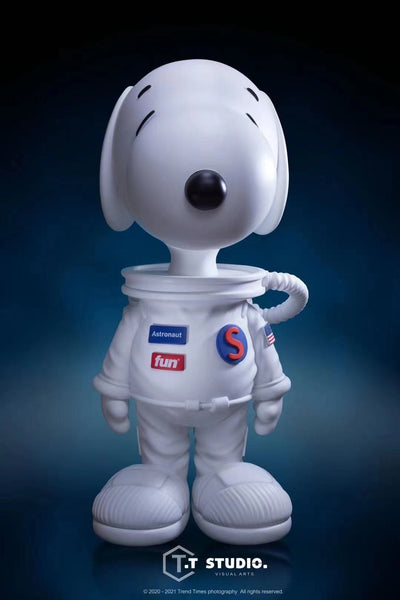 T.T Studio - NASA Snoopy