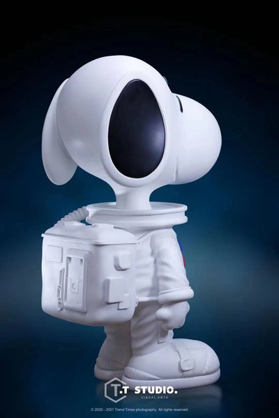 T.T Studio - NASA Snoopy