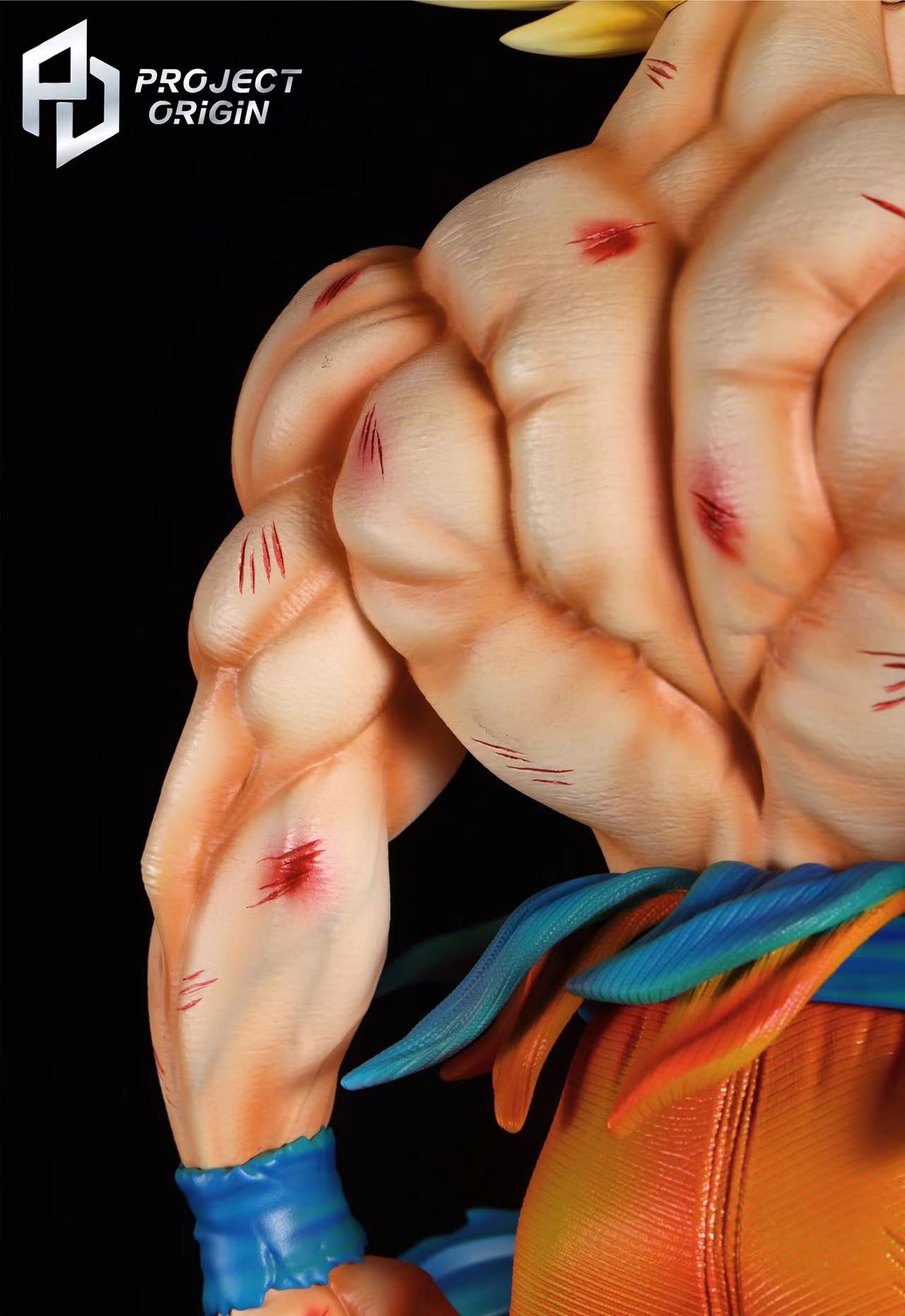Project Origin Studio - Son Goku