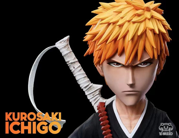 YZ studio - Ichigo Kurosaki