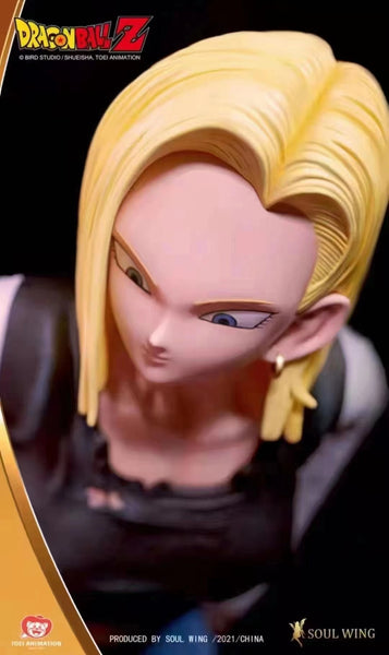 Soul Wing Studio X Toei Animation - Kirin and Android 18