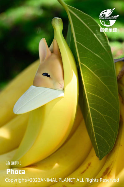 Animal Planet - Banana rabbit