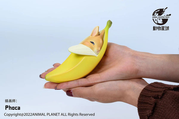 Animal Planet - Banana rabbit