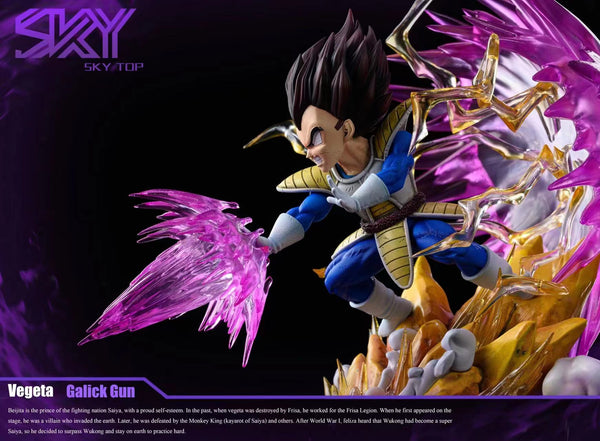 Sky Top Studio  - Vegeta