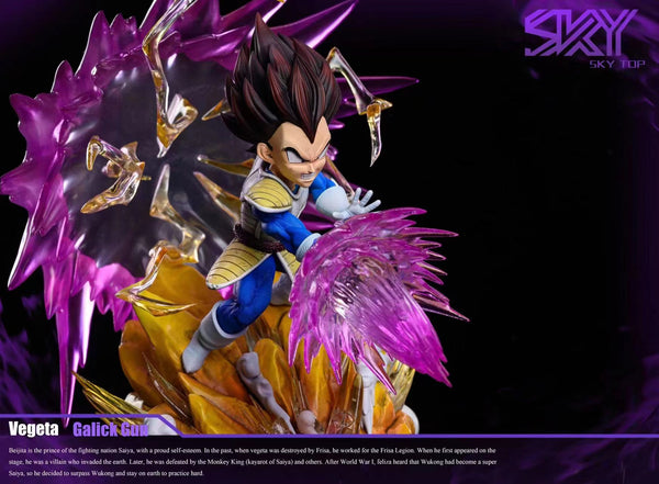 Sky Top Studio  - Vegeta