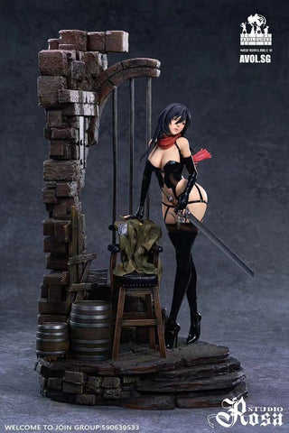 Rosa Studio - Mikasa Ackerman [Standard/ Deluxe][1/6 scale]