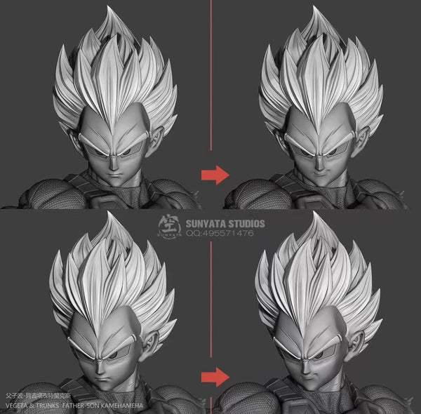 SUNYATA Studios - Vegeta and Trunks