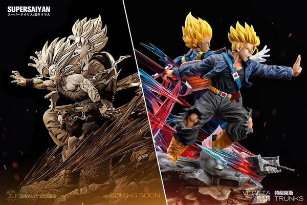 SUNYATA Studios - Vegeta and Trunks