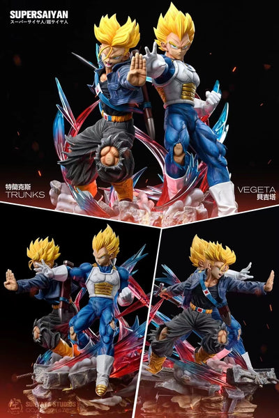 SUNYATA Studios - Vegeta and Trunks