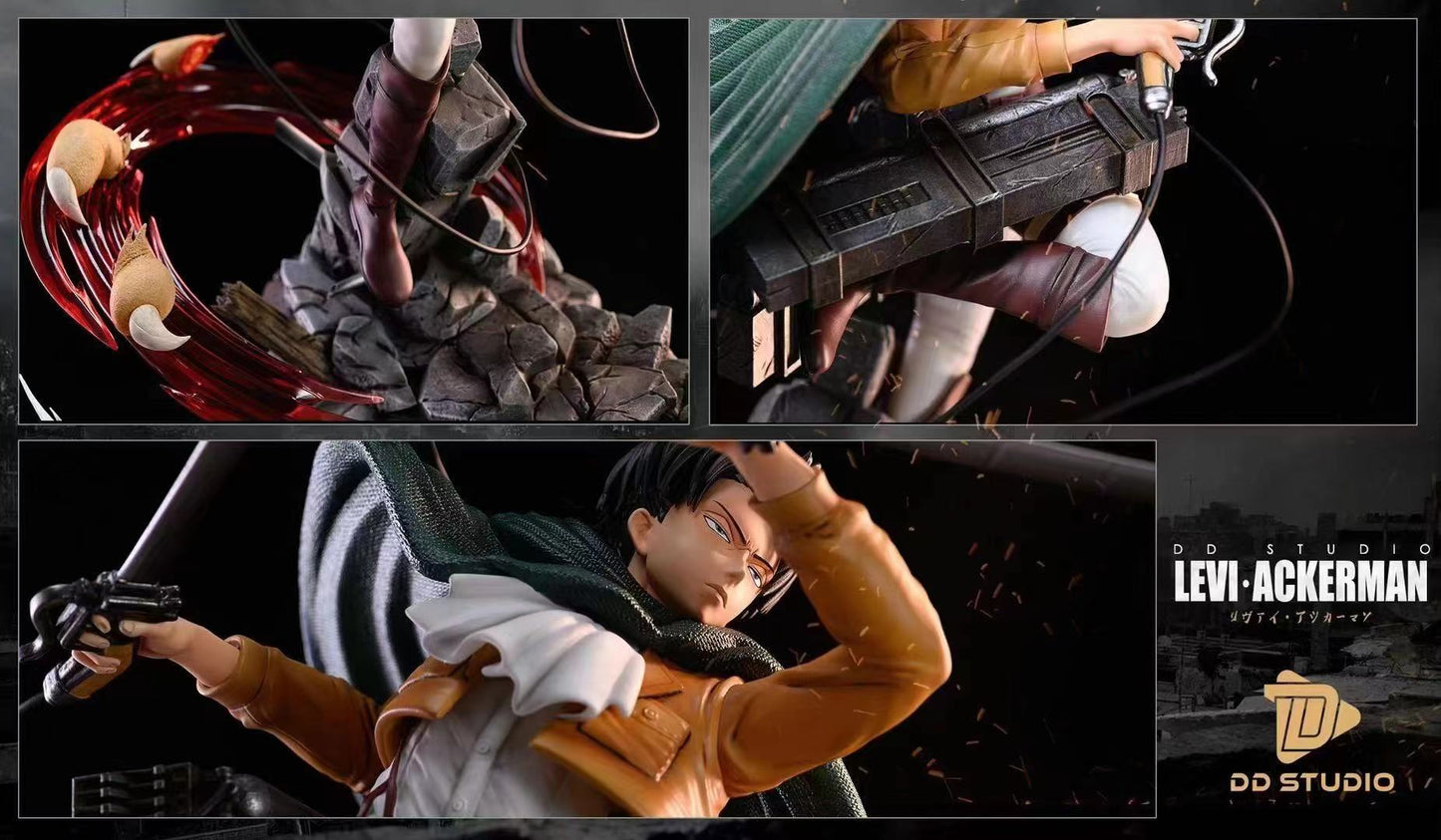 DD Studio - Levi Ackerman 