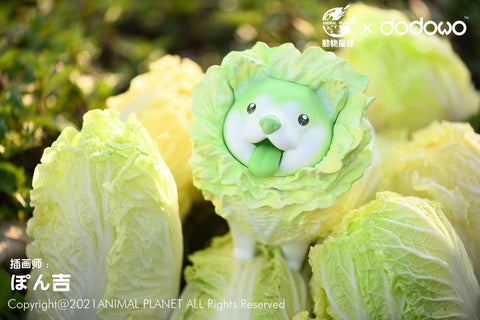 Animal Planet x Dodowo Studio - Opened Cabbage Dog / Wrapped Cabbage Dog