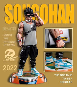 DP9 Studio - Son Gohan the dream to be scholar