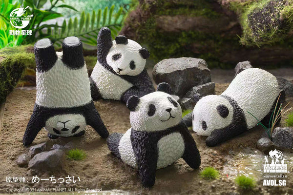 Animal Planet - Panda Yoga Poses blindbox