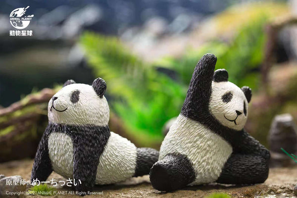 Animal Planet - Panda Yoga Poses blindbox