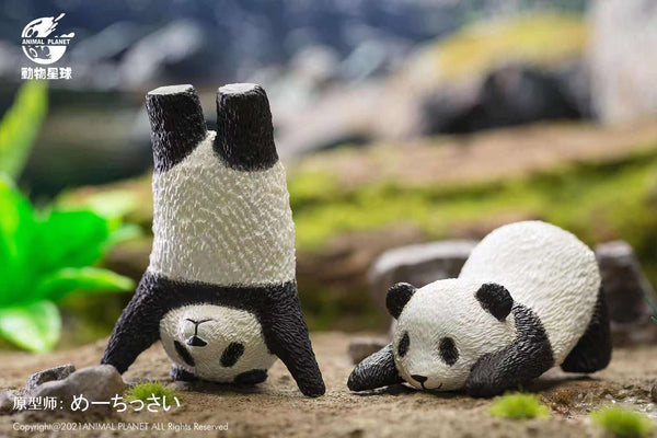 Animal Planet - Panda Yoga Poses blindbox