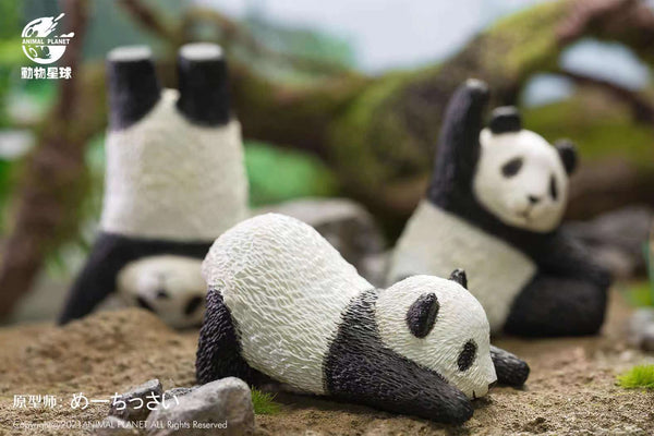 Animal Planet - Panda Yoga Poses blindbox