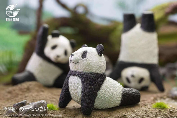 Animal Planet - Panda Yoga Poses blindbox