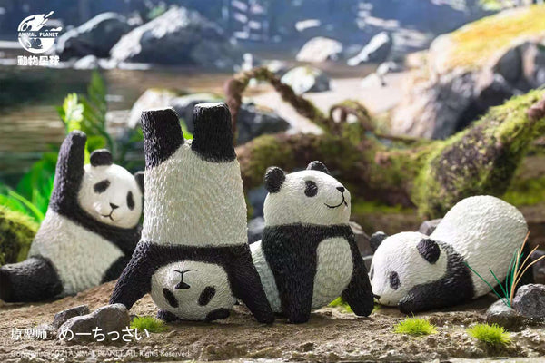 Animal Planet - Panda Yoga Poses blindbox