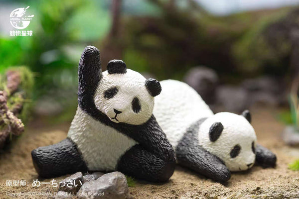 Animal Planet - Panda Yoga Poses blindbox