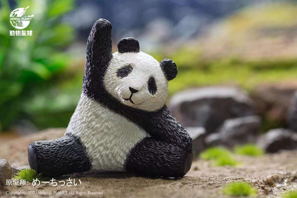 Animal Planet - Panda Yoga Poses blindbox