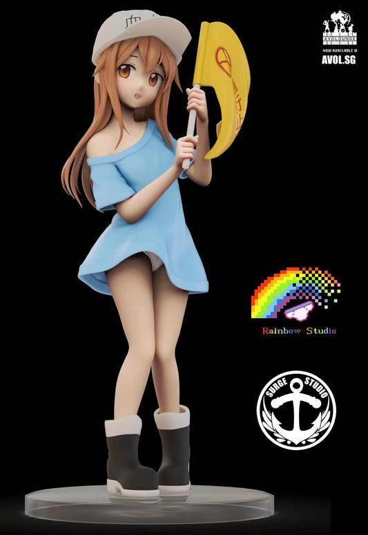 Rainbow studio X Surge Studio - Platelet 