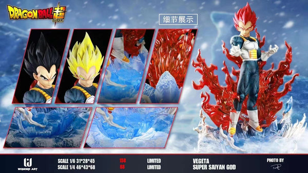 Wonder Art - Super Saiyan God Vegeta [4 variants]