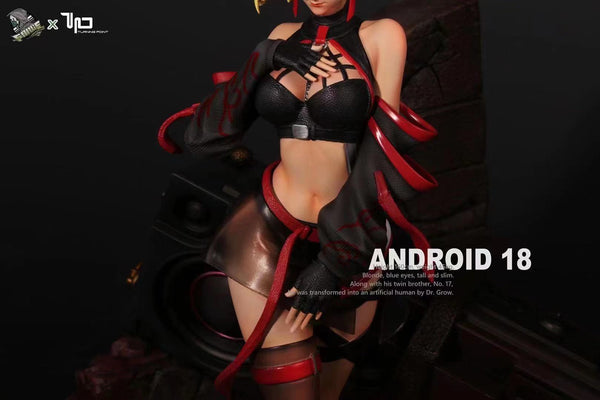 Force Studio & Turning Point - Andrioid 18 [1/6 scale] 