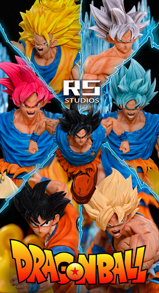 RS Studio - Son Goku all Style