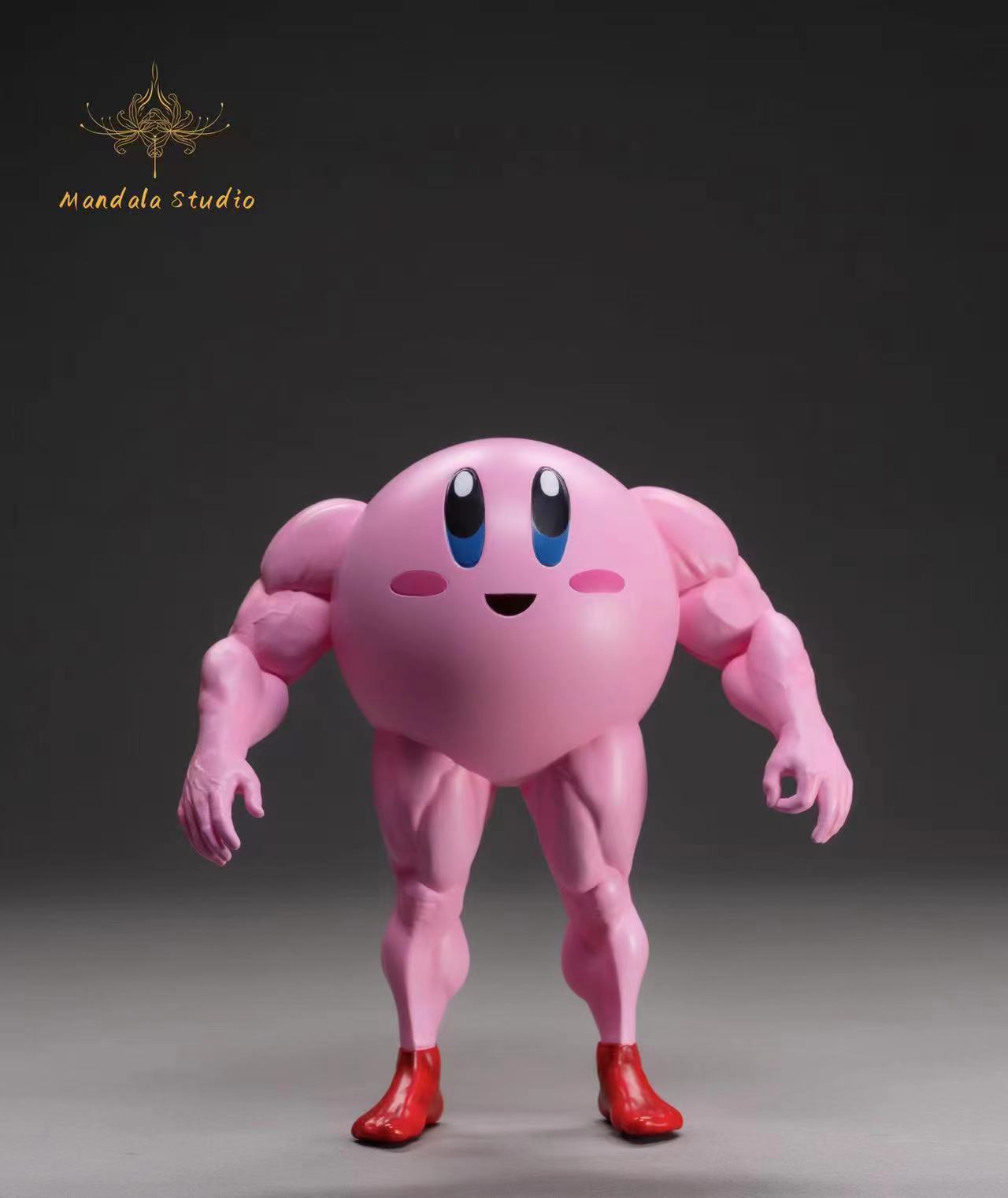 Mandala Studio / MS Studio - Muscle Kirby