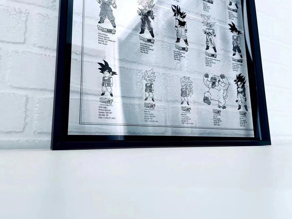 Sun Goku From 11 to 51 Years Old Acrylic Photo Frame [38cm x 53cm]