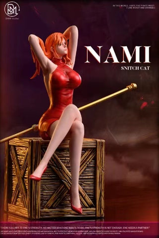 DMM Studio - Nami Snitch Cat 
