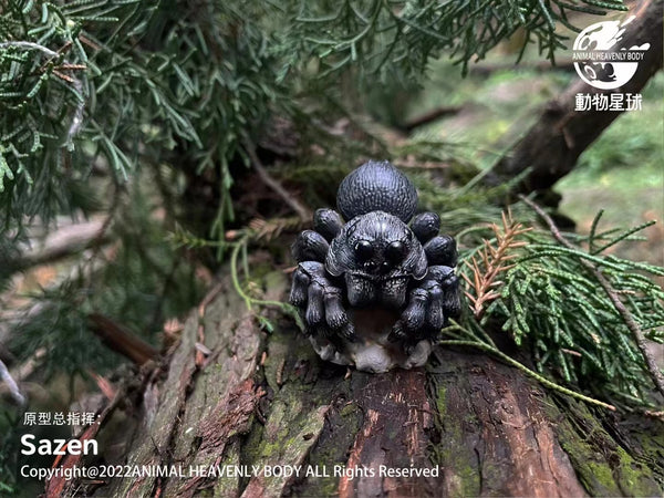 Animal Planet - Lycosa, Hexarthrius Parryi, Hymenopus Coronatus, Goliathus Goliatus, Goliathus Orientalis & Acrididae