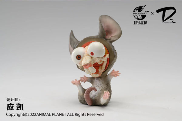 Animal Planet x Double Two Studio - Rat