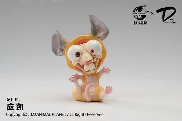 Animal Planet x Double Two Studio - Rat