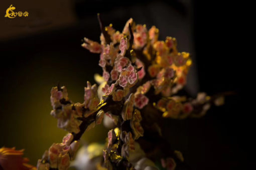 Big Gecko - Sakura
