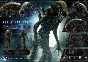 Prime 1 Studio - Alien Big Chap Limited Version [WAAL-05LM]